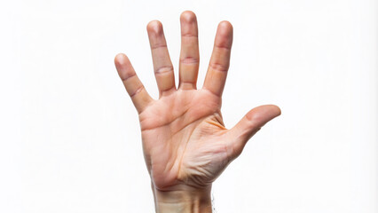 Isolated hand with fingers extended to represent different numerical digits from zero to ten on a clean white background, ideal for counting concepts.