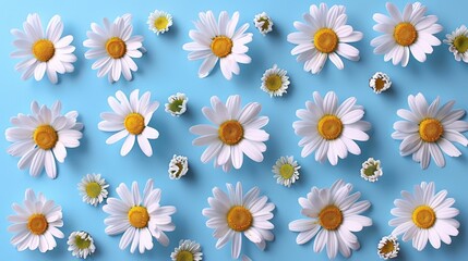 Daisy Sticker Set: Beautiful Blue Background for a Vibrant Look on White Background