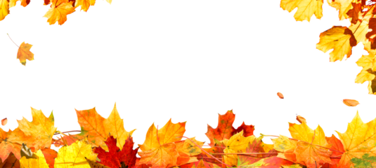 frame of colorful autumn leaves isolated on transparent background