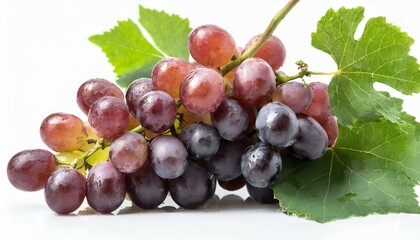 Fototapeta premium Trauben Ohne Hintergrund Isoliert