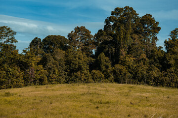 Obraz premium The hill has a natural sky meadow. beautiful background pictures