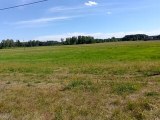 grass and blue sky