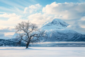 Obraz premium Snow-covered landscape in winter