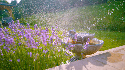 CLOSE UP: Sprinkler system pours water into small fountain and sprays lavender