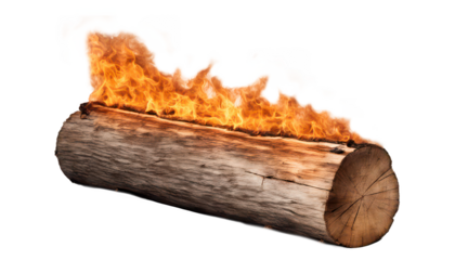 Burning log with vibrant flames, fire, camping, isolate on transparent background, cutout, png 
