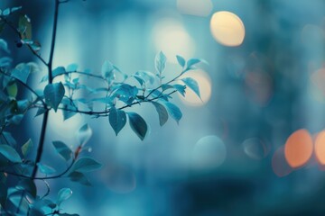 A blurry photo of a tree with lush green leaves