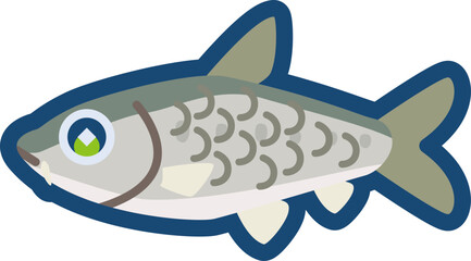 かわいいニゴイのイラスト