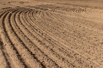 furrows in the field after tillage during sowing