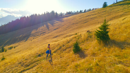 AERIAL: Autumn alpine meadow with young sporty lady walking uphill with her dog