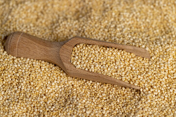 not cooked healthy quinoa porridge grains