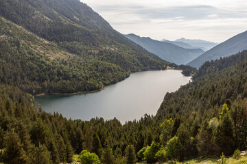 Elevated view of a pond with forest around
