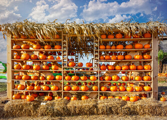 Pile of pumpkins, Halloween decorations
