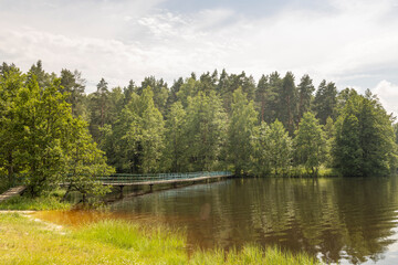 Fototapeta premium A lake with a bridge and trees in the background
