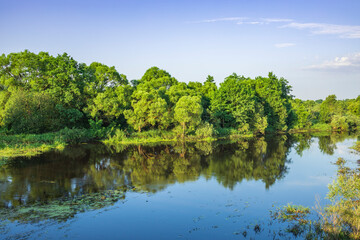 Fototapeta premium A calm body of water with trees in the background