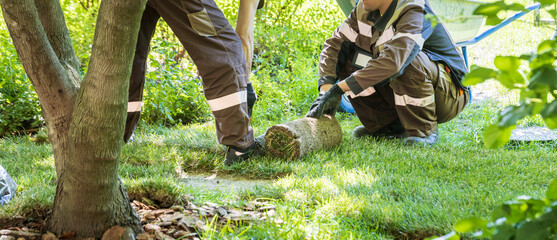 Two men are working on a tree stump in a grassy area