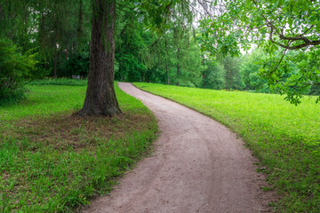 A dirt path curves through a green forest, lined with tall trees and lush grass. The sunlight filters through the leaves, casting dappled shadows on the ground.