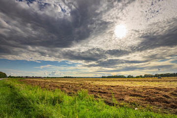 Obraz premium A field with a cloudy sky and a sun in the background