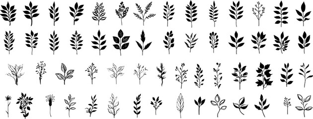 a set of minimalist leaflets. Black and white plants.