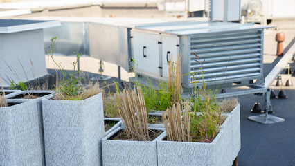 Nice rooftop garden in the sunny city