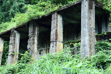 滋賀県長浜市土倉鉱山跡のコンクリートと草