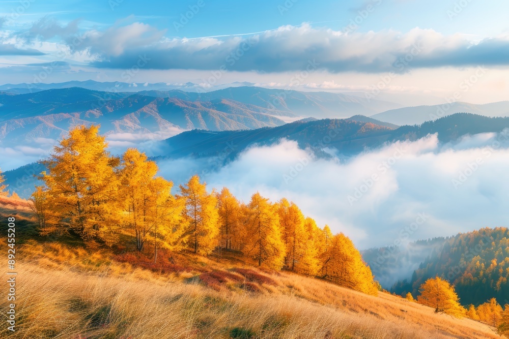 Canvas Prints a beautiful mountain landscape with trees in the foreground and a cloudy sky in the background