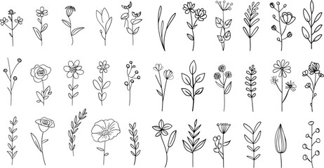 Obraz premium Decorative floral leaf one line art. Editable strokes. White eucalyptus branch