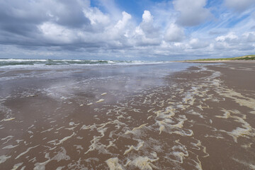 beach on the Dutch North Sea coast in Callantsoog