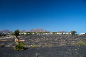 Egzotyczny krajobraz, wyspy kanaryjskie, wyspa Lanzarote, w tle niebieskie niebo i białe chmury © anettastar
