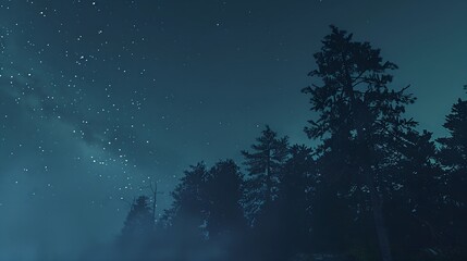 Naklejka premium beautiful tree silhouettes under the moonlight