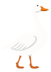 Obraz premium Goose flat illustration. White farm bird isolated on transparent background. Minimalistic modern style