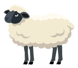 Sheep flat illustration. Farm animal art isolated on transparent background. Minimalistic modern style