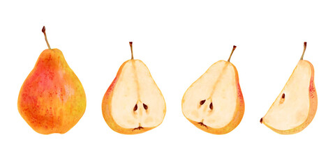 Set of yellow pears. Whole, halves and pieces of fruit. Botanical watercolor illustration. Pictures of fruits from a tree. Hand drawn isolated clipart. Vegetarian products. Organic food sketch