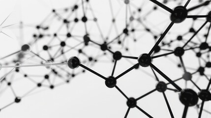 minimalist black and white plexus design with intricate connections, set against a clean background with ample text space