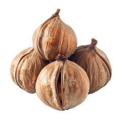 Isolated Candlenuts with Unique Shells, No Background Display.