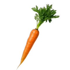 Fresh Orange Carrot with Green Leaves Isolated Without Background.
