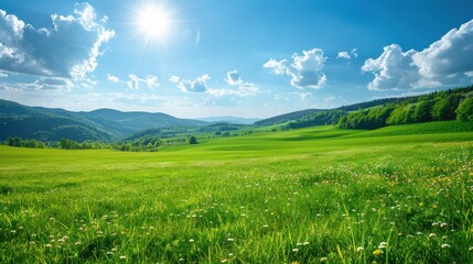 Obraz premium A picturesque green field under a bright sun, with rolling hills and a blue sky filled with white clouds.