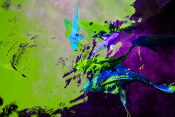 Colorful fishes swimming in the water, close-up of photo