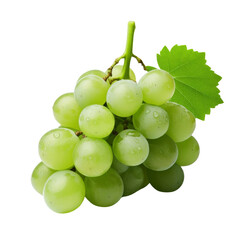 Isolated Green Grapes on Stem with Leaf in High Transparency.