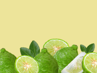 Fresh Bergamot slice and  lesves  background and space fot text on  transparent.