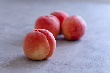 ふるさと納税の返礼品　コンクリート背景