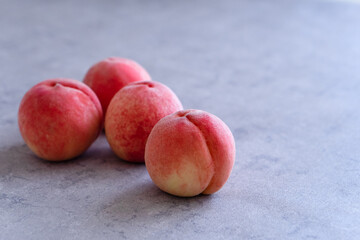 ふるさと納税の返礼品　コンクリート背景