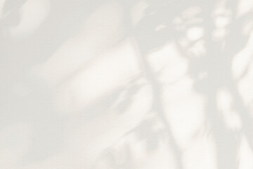 Tree shadow and light of leaf branch background. Nature leaves tropical jungle tree branch dark...