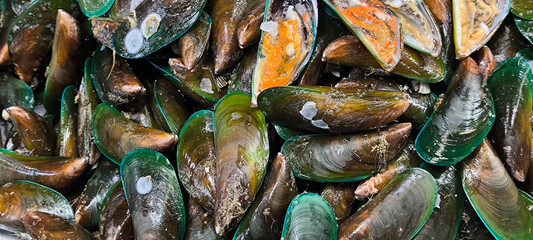 Frozen mussel in the shell. Freshly-frozen mussels in shells . The mussel in the sink is ready to be cooked. Plate with mussels. Mussel shells lie on the plates. Fresh mussels. Top view.