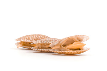 Closed up fresh baby clams, venus shell, shellfish, carpet clams, short necked clams, as raw food from the sea are the seafood ingredients. fresh clams Background.