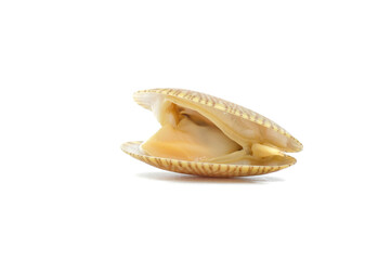 Closed up fresh baby clams, venus shell, shellfish, carpet clams, short necked clams, as raw food from the sea are the seafood ingredients. fresh clams Background.