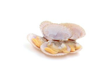 Closed up fresh baby clams, venus shell, shellfish, carpet clams, short necked clams, as raw food from the sea are the seafood ingredients. fresh clams Background..