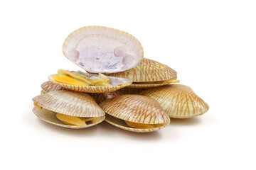 Closed up fresh baby clams, venus shell, shellfish,  short necked clams, as raw food from the sea are the seafood ingredients.