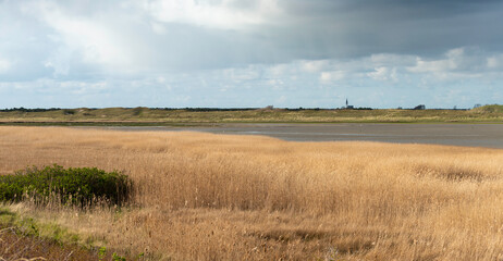 Obraz premium Parc national, Mer des Wadden, île de la Frise, Ile Texel, Pays Bas