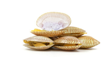 Closed up fresh baby clams, venus shell, shellfish, carpet clams, short necked clams, as raw food from the sea are the seafood ingredients. fresh clams Background.