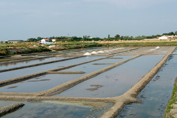 Marais salands, Beauvoir sur Mer , Marais Breton, Vendée, 85, France